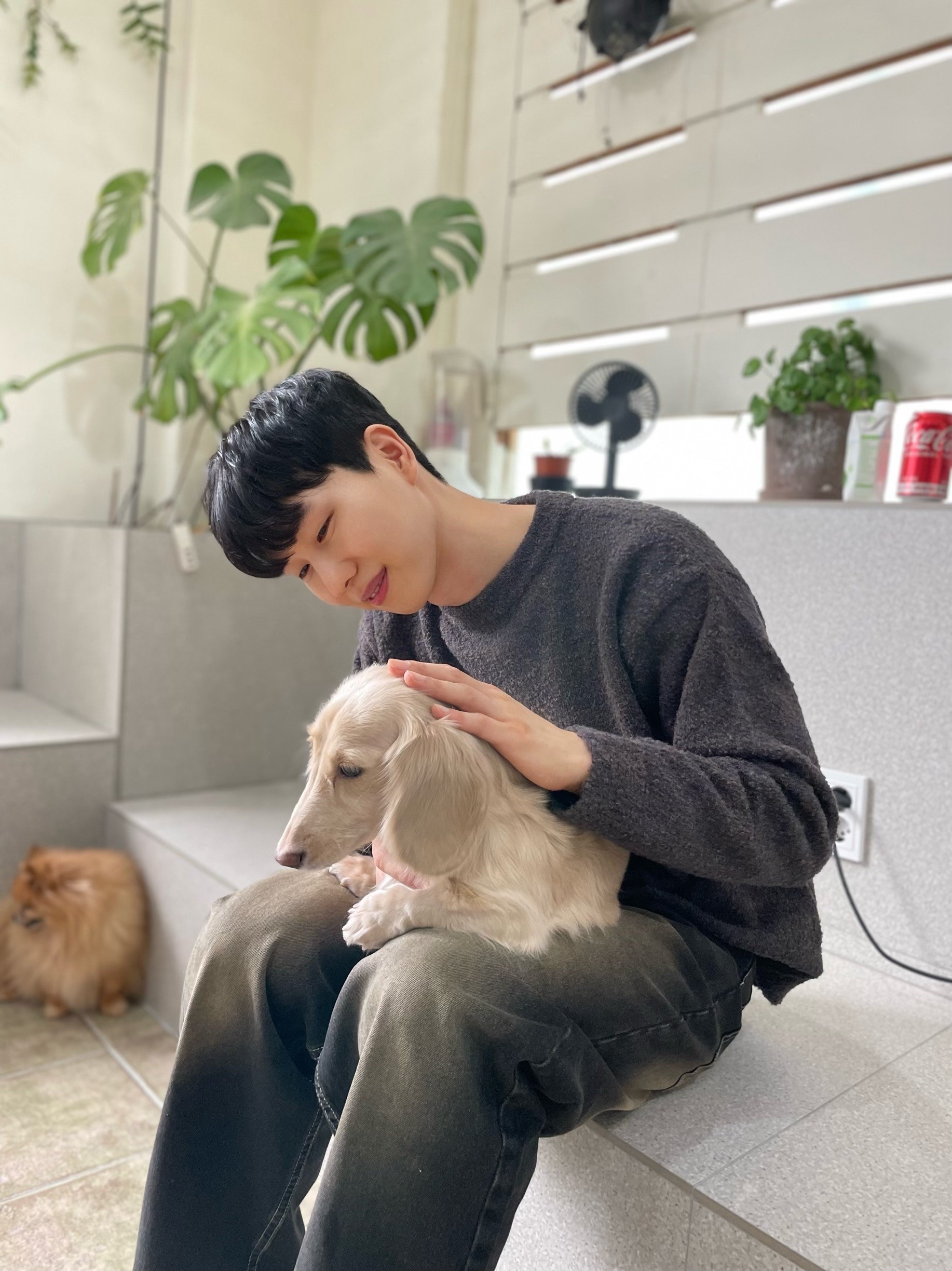 애견 라이프스타일 이미지 portfolio thumbnail